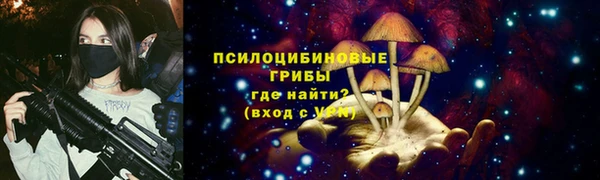 прущие грибы Баксан
