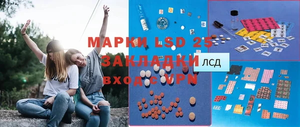 прущие грибы Баксан