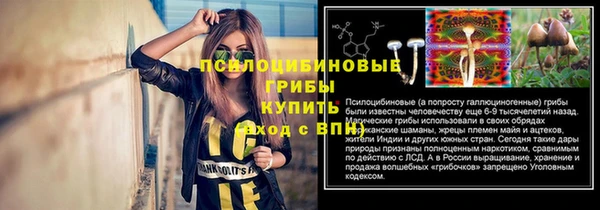 СК Белокуриха
