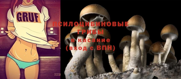 apvp Балабаново