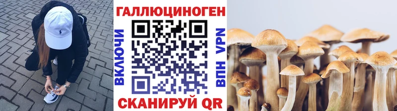 Псилоцибиновые грибы Psilocybine cubensis  Купить закладки  Жуков 