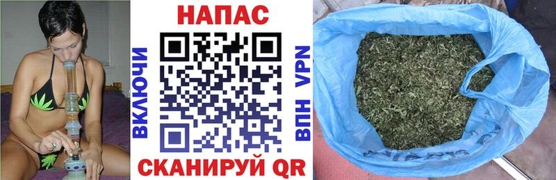 Купить закладки  Жуков  Конопля конопля 